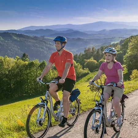 Hotel Post Hoenigwirt